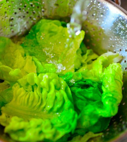 Come Conservare l'insalata