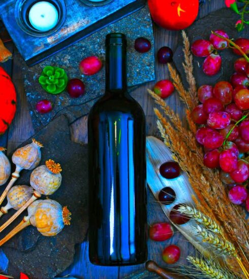 Regole Esperto di vini