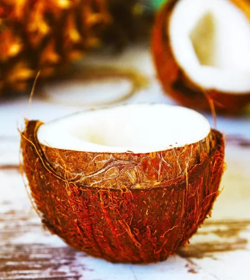 Come scegliere e come aprire il Cocco - Quootip